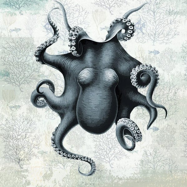 Octopi: Oceaniana II by Karen Smith