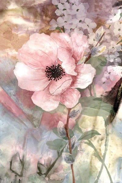 Pastel Fleur II by Karen Smith framed canvas print