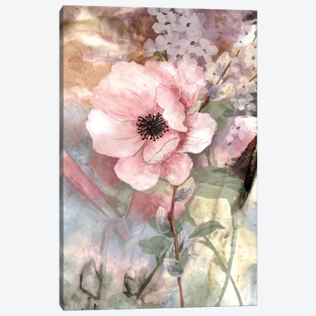Pastel Fleur II Canvas Print #KSM126} by Karen Smith Canvas Art Print