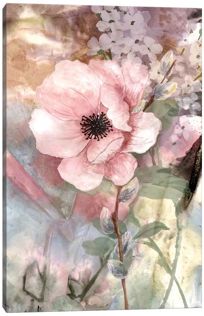 Pastel Fleur II Canvas Art Print - Karen Smith