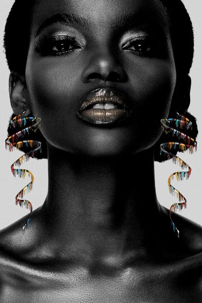 Kaleida II by Karen Smith framed canvas print