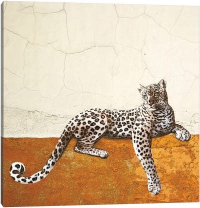 Hangin I Canvas Art Print - Leopard Art