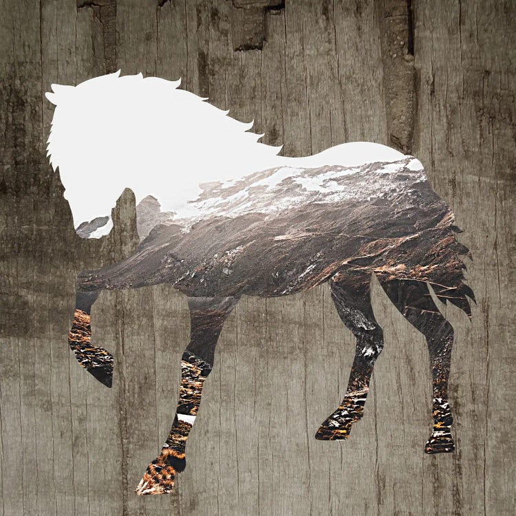Wildhorse II by Karen Smith wall art