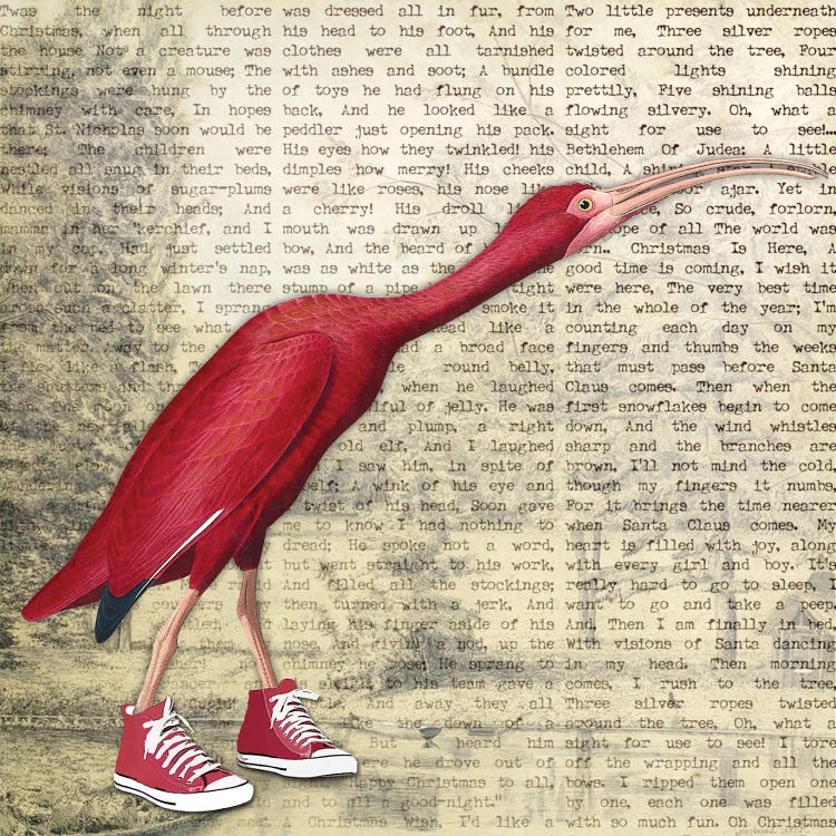 Birdshoes I