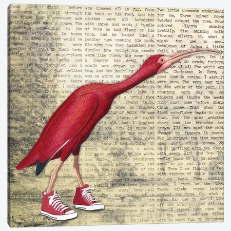 Birdshoes I Canvas Print #KSM30} by Karen Smith Canvas Art Print