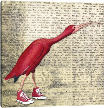 Birdshoes I Canvas Art Print - Karen Smith