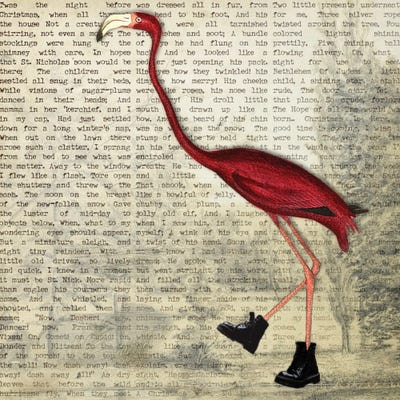 Birdshoes II by Karen Smith framed canvas print