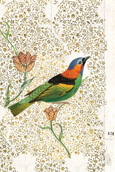 Aviary II by Karen Smith canvas print