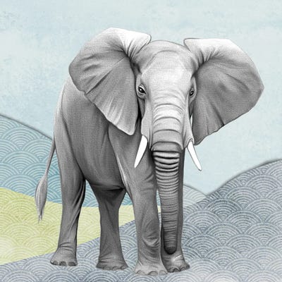 Ella I by Karen Smith canvas print