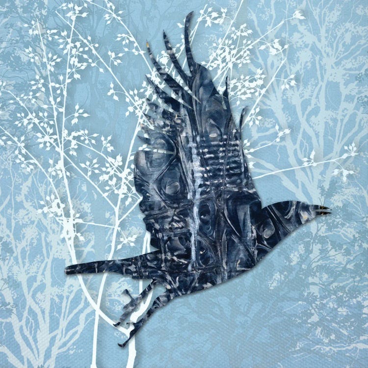 Inflight II by Karen Smith wall art