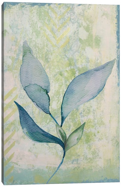 Leaf Abstract II Canvas Art Print - Karen Smith