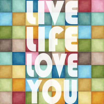 Love Life by Karen Smith framed canvas print