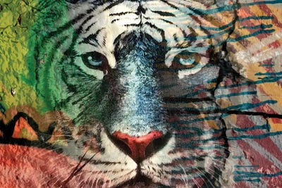 Painted Tiger I by Karen Smith framed canvas print