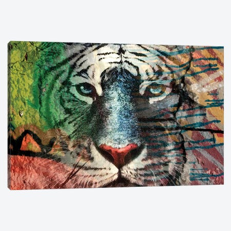Painted Tiger I Canvas Print #KSM67} by Karen Smith Canvas Art Print