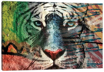 Painted Tiger I Canvas Art Print - Karen Smith