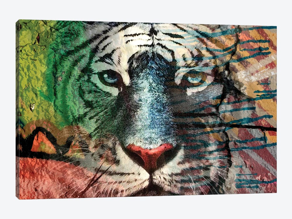 Painted Tiger I by Karen Smith 1-piece Canvas Wall Art