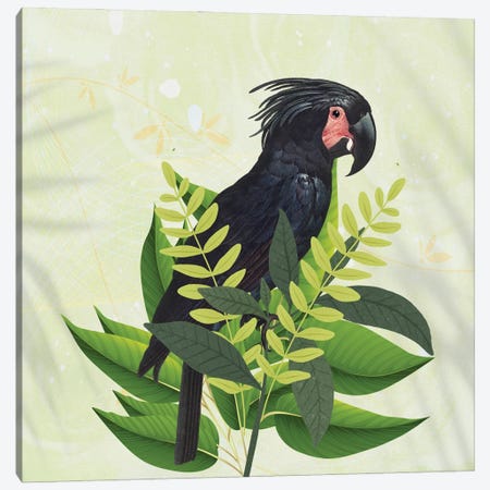Parrot Haven I Canvas Print #KSM68} by Karen Smith Canvas Art