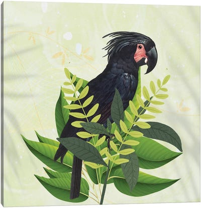 Parrot Haven I Canvas Art Print - Karen Smith