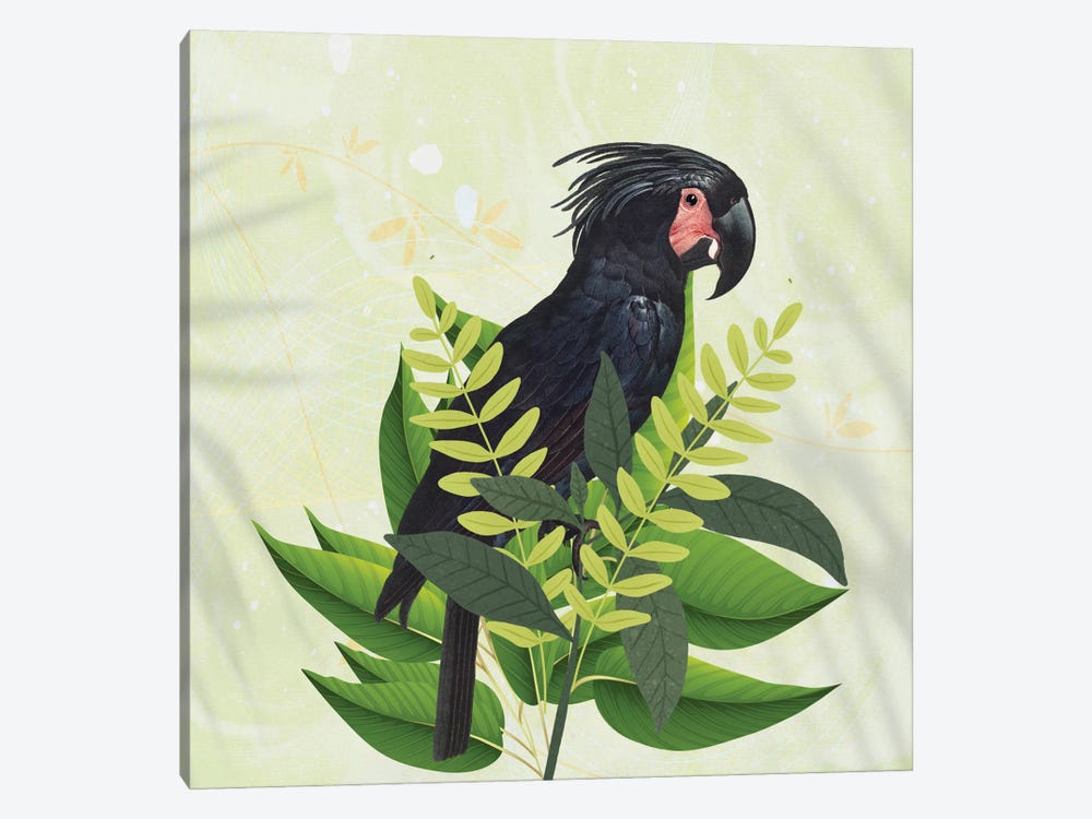 Parrot Haven I by Karen Smith 1-piece Canvas Art Print