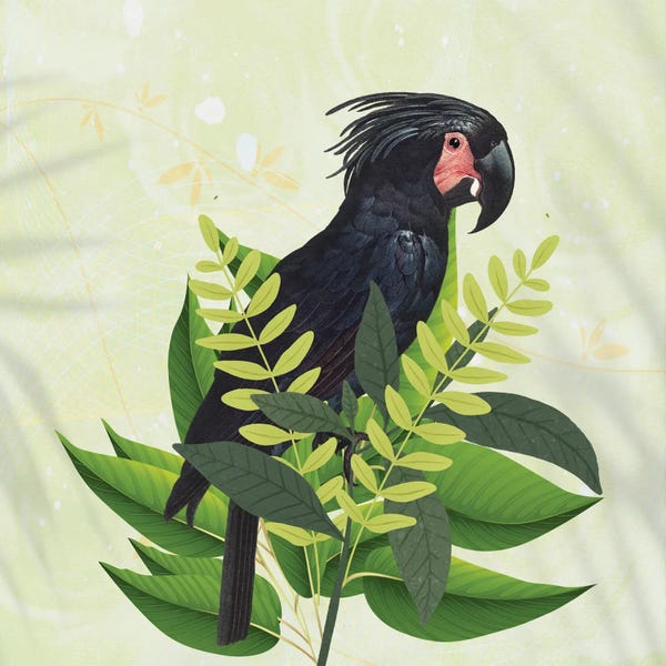 Parrots: Parrot Haven I by Karen Smith