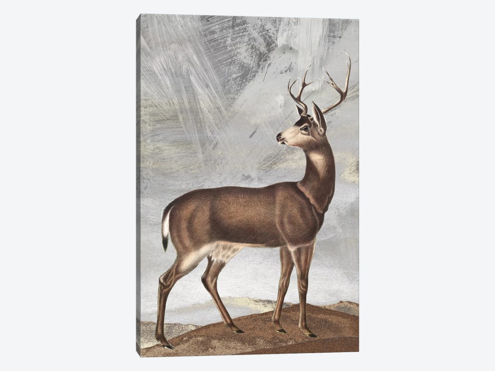 Posing Deer II by Karen Smith 1-piece Canvas Artwork