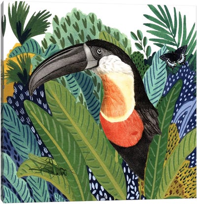 Wild Jungle II Canvas Art Print - Toucan Art