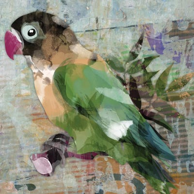 Tropicana I by Karen Smith framed canvas print