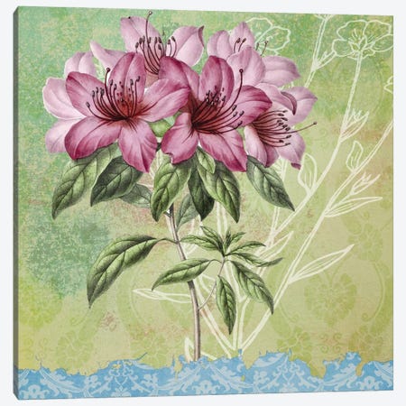 Botanica II Canvas Print #KSM85} by Karen Smith Canvas Print