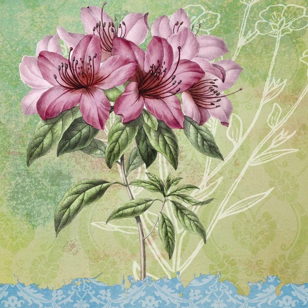 Fine Art Print: Botanica II by Karen Smith