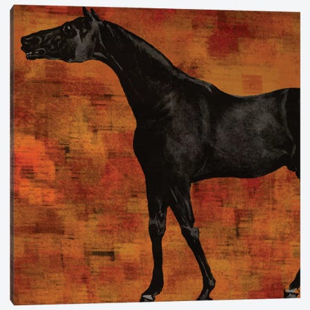 Horsey II Canvas Print #KSM95} by Karen Smith Canvas Artwork
