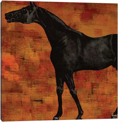 Horsey II Canvas Art Print - Karen Smith