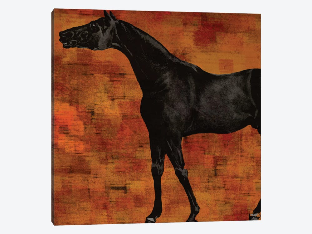 Horsey II by Karen Smith 1-piece Canvas Art Print