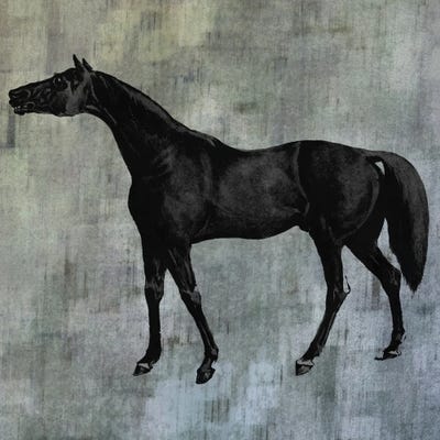 Horsey IV by Karen Smith canvas print