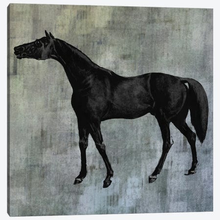 Horsey IV Canvas Print #KSM96} by Karen Smith Canvas Art