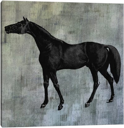 Horsey IV Canvas Art Print - Karen Smith