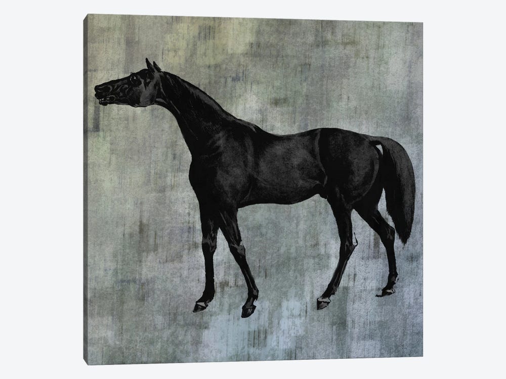 Horsey IV by Karen Smith 1-piece Canvas Artwork