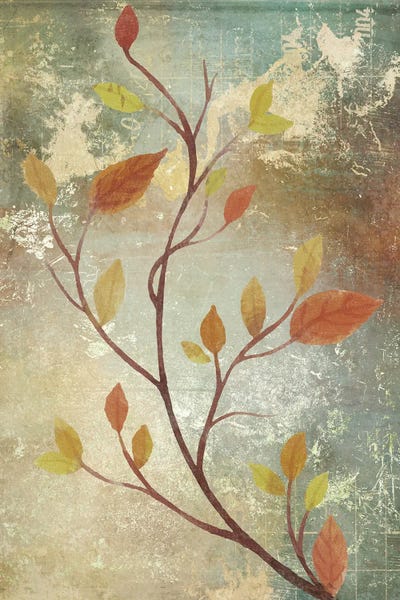 Harvest II by Karen Smith framed canvas print