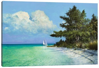 Cayo Costa Beach Canvas Art Print