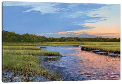 Evening Downs Canvas Art Print - Marsh & Swamp Art