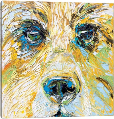 Mellow Yellow Bear Canvas Art Print - Kathleen Steventon