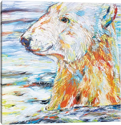 Polar Gaze Canvas Art Print - Kathleen Steventon