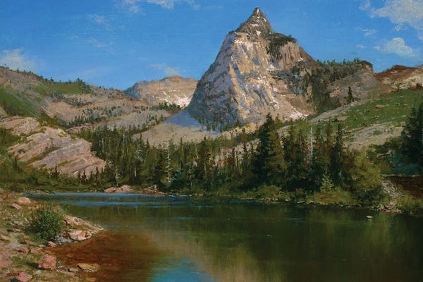 Pine Trees: Sundial Peak, Daytime by Ken Salaz