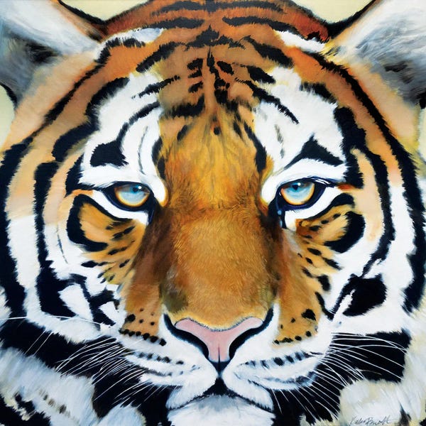 Katharine Alecse: Tiger by Katharine Alecse