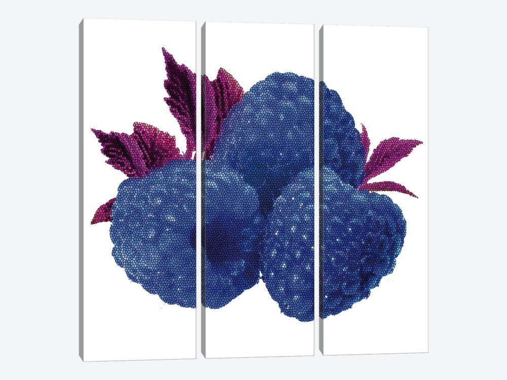 Raspberry by Kateryna Bortsova 3-piece Canvas Print