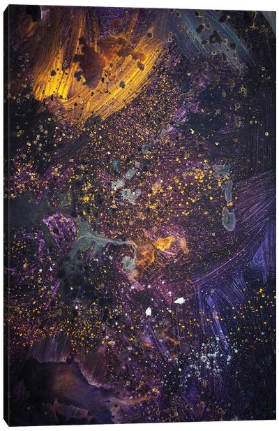 Universe Canvas Art Print - Kateryna Bortsova