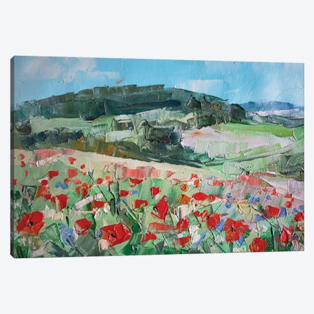 Beautiful Meadow Canvas Print #KTB202} by Kateryna Bortsova Canvas Print