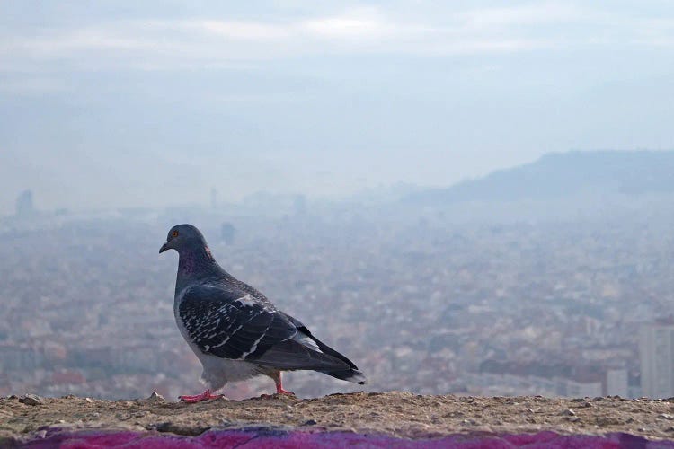 View On Barcelona