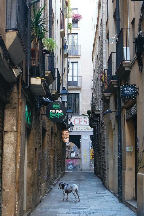 On The Street Of Barcelona