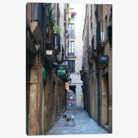 On The Street Of Barcelona Canvas Print #KTB241} by Kateryna Bortsova Art Print