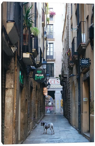On The Street Of Barcelona Canvas Art Print - Catalonia Art